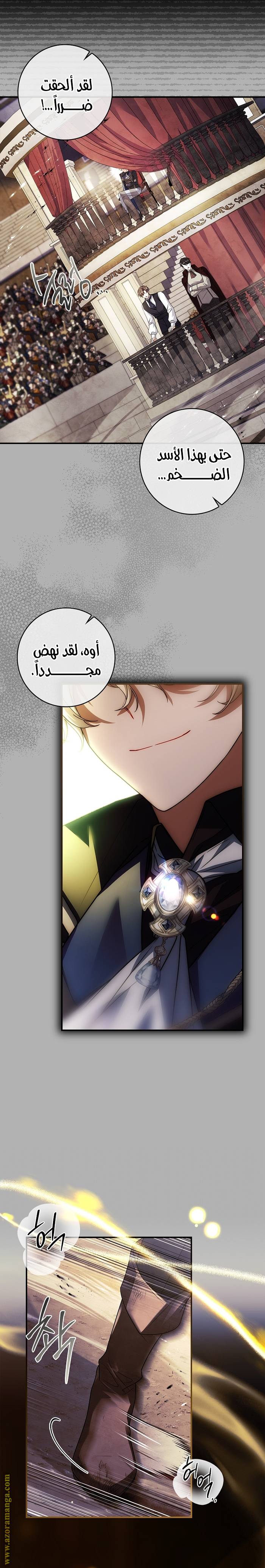 الصفحة 19