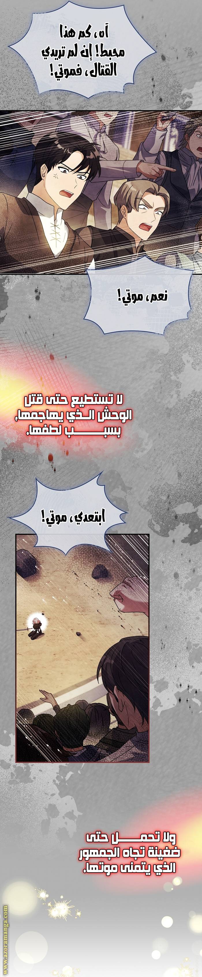 الصفحة 24