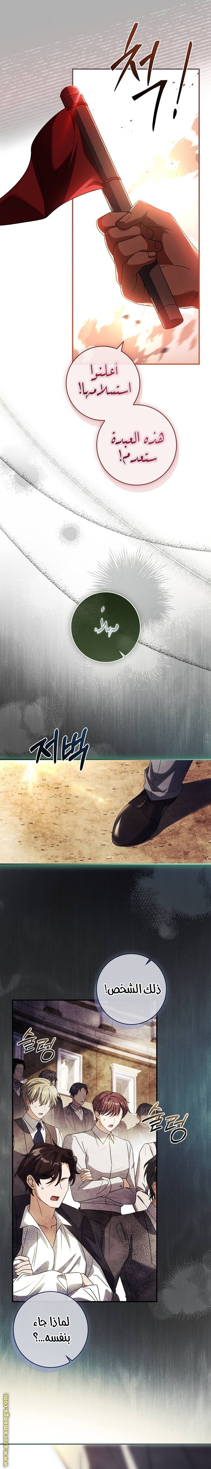 الصفحة 26