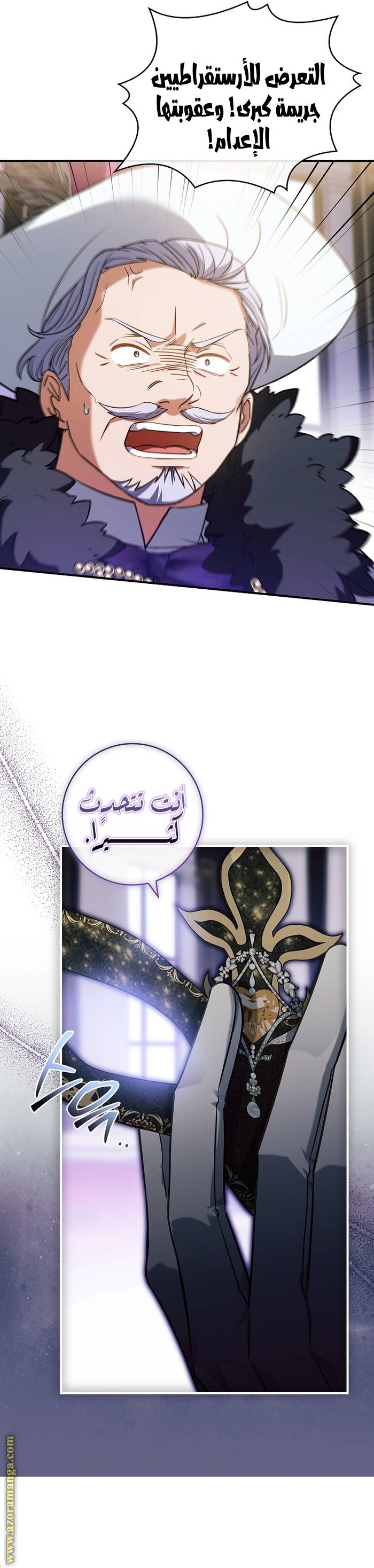 الصفحة 17