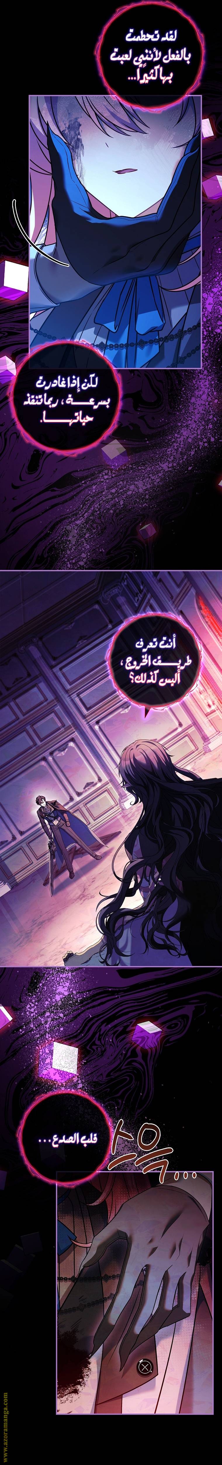 الصفحة 17
