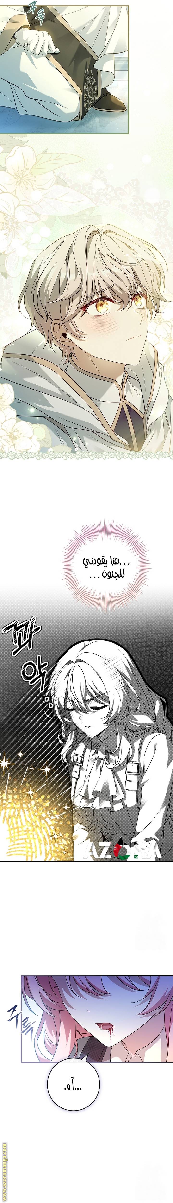 الصفحة 25