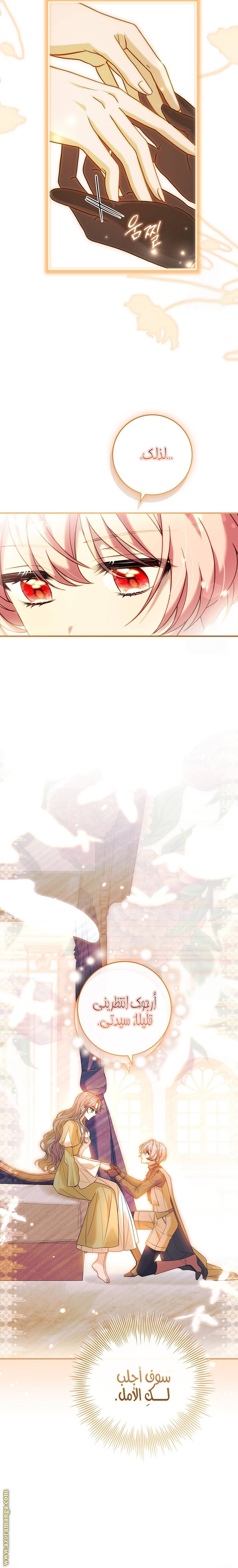 الصفحة 17