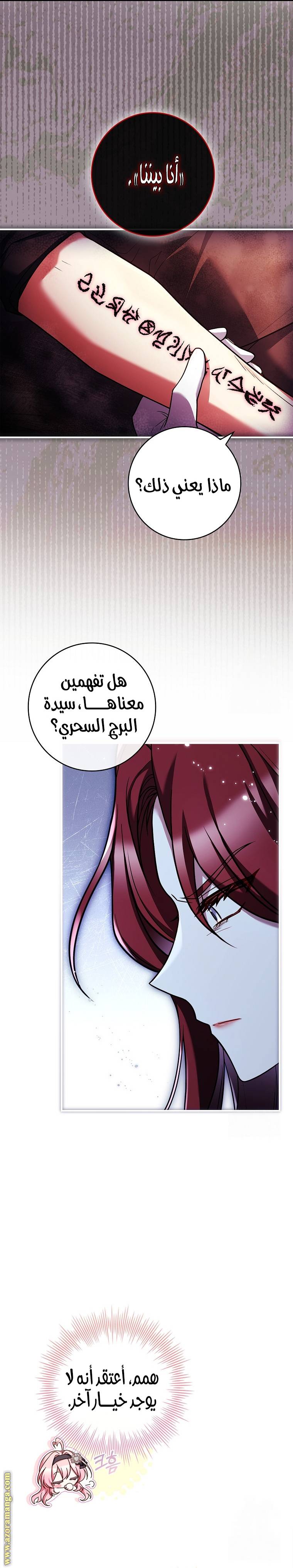 الصفحة 24