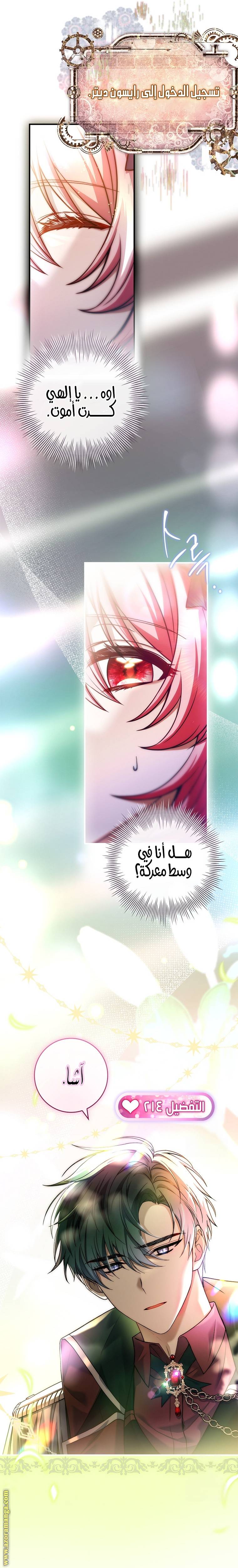 الصفحة 13