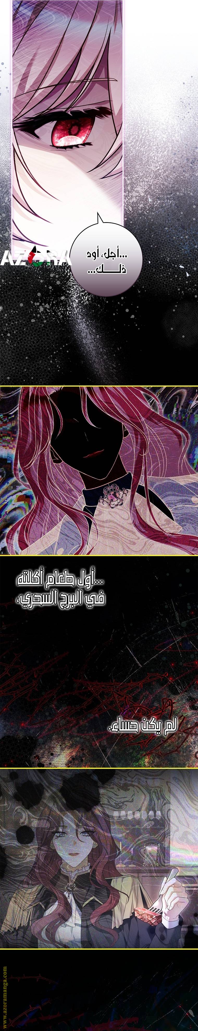الصفحة 26
