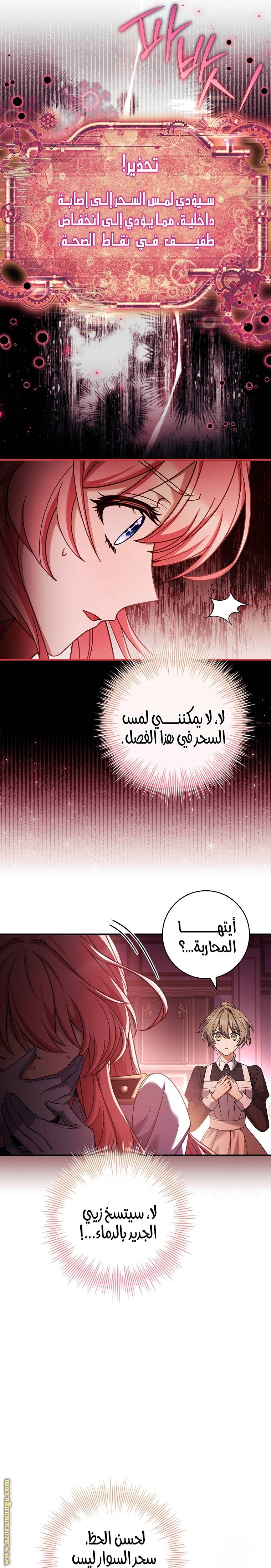 الصفحة 13