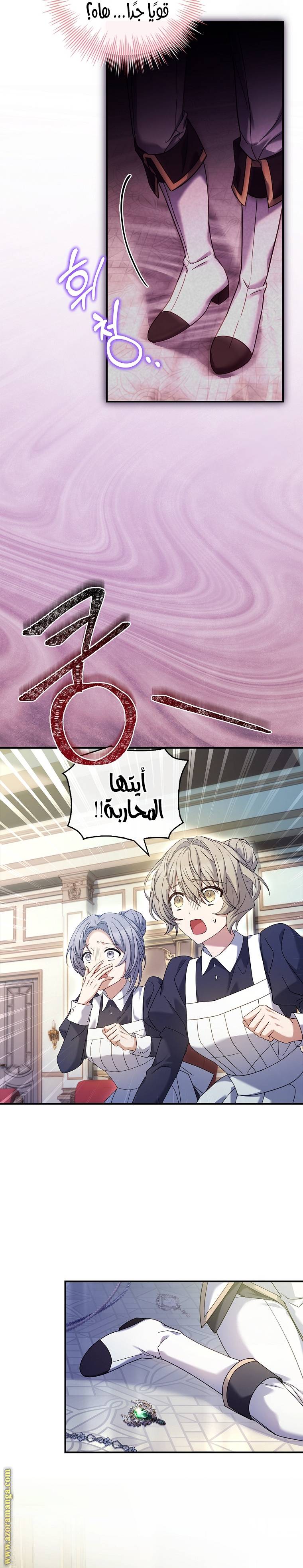 الصفحة 14