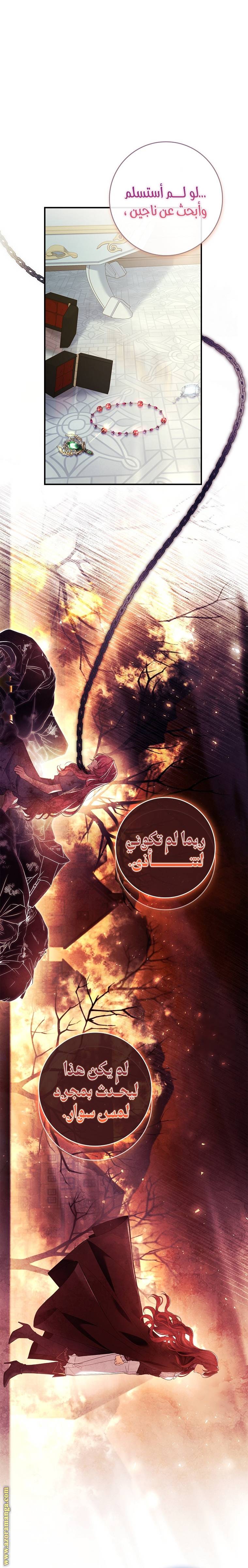 الصفحة 19