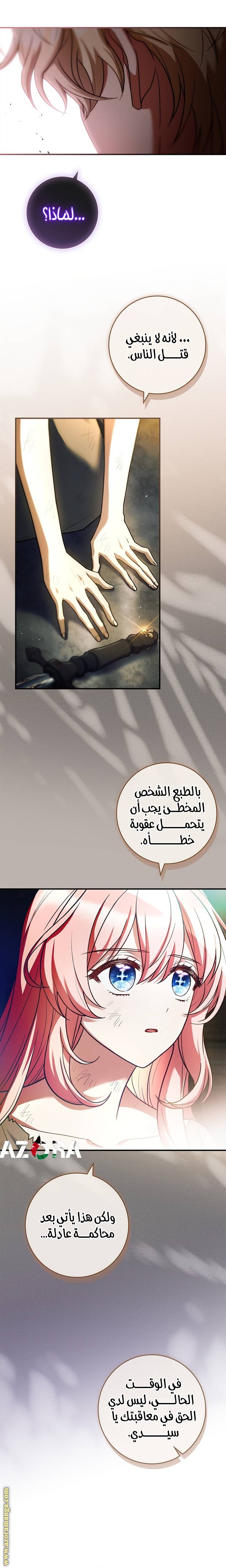 الصفحة 13