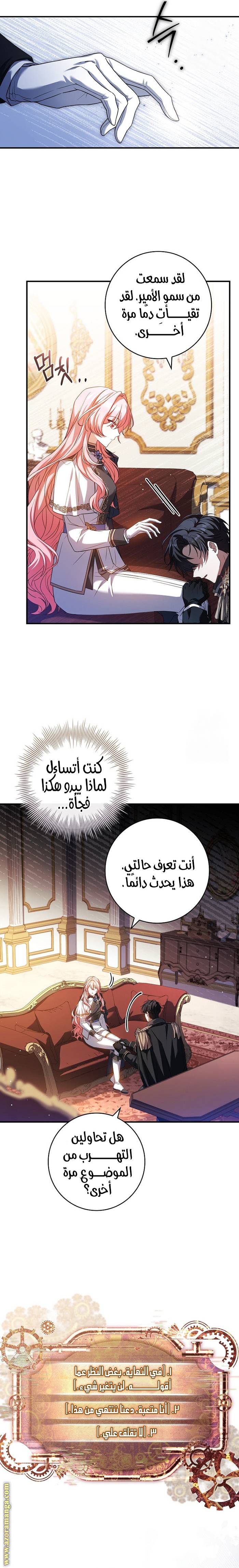 الصفحة 17