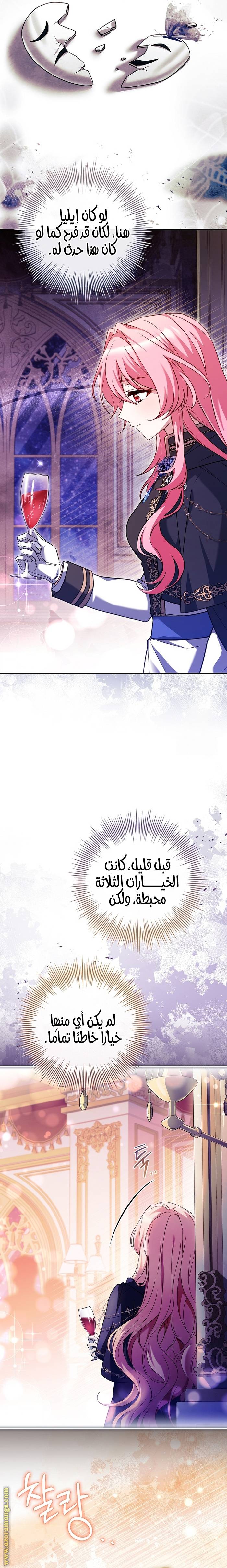 الصفحة 27