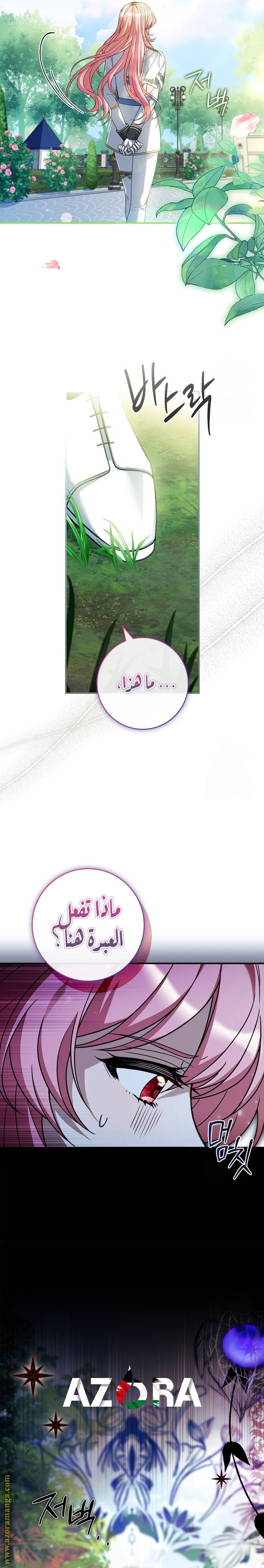 الصفحة 16