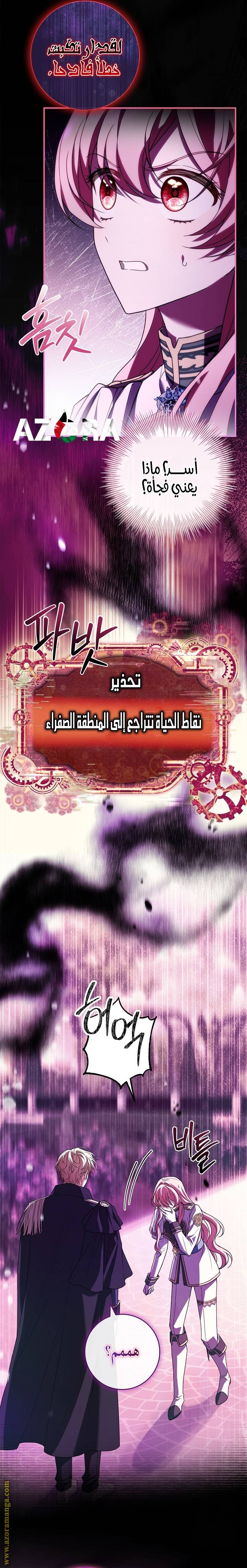 الصفحة 25