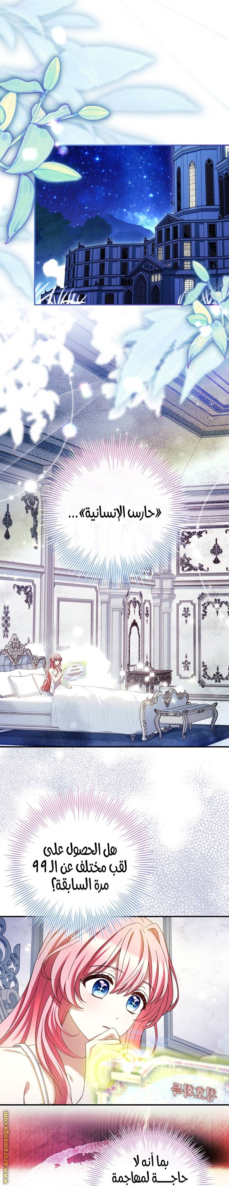 الصفحة 17