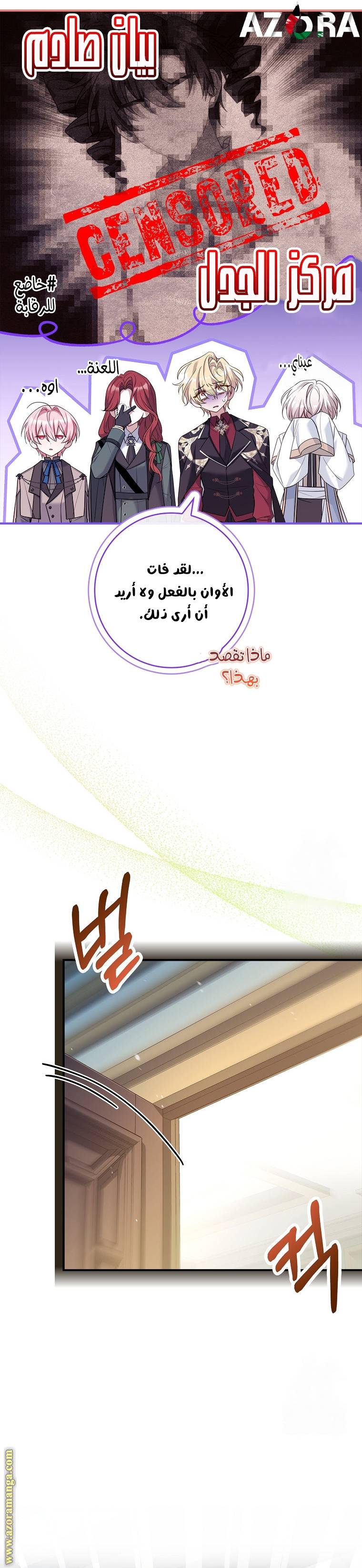 الصفحة 29