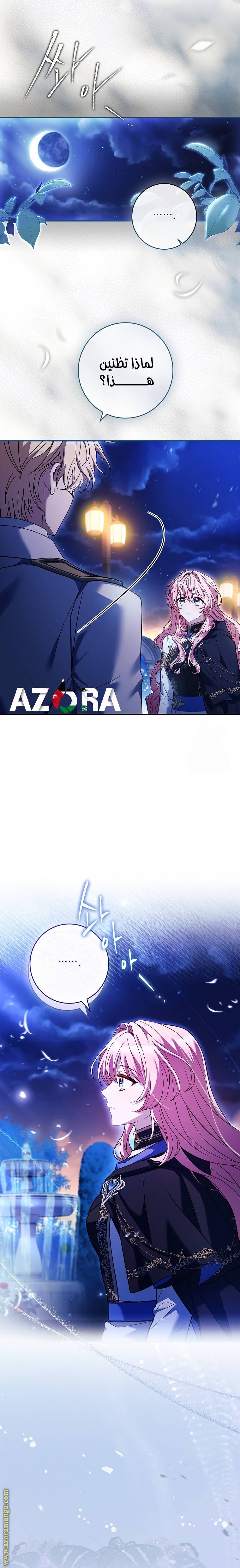 الصفحة 21