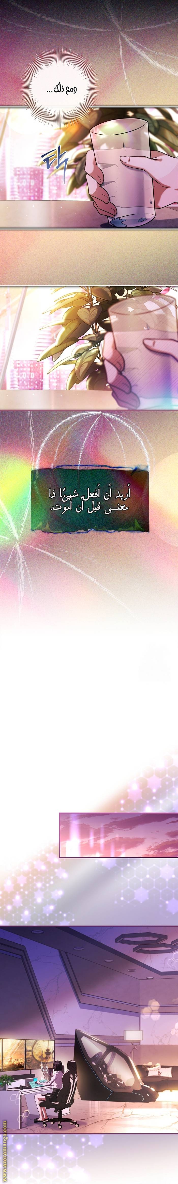 الصفحة 13