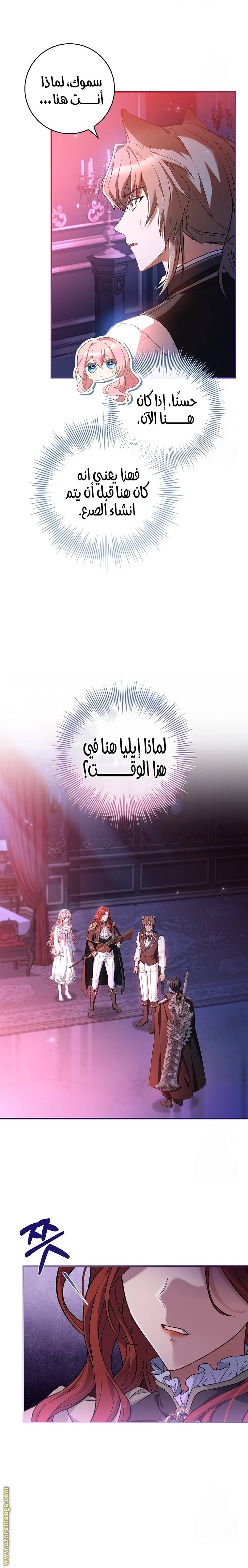 الصفحة 19