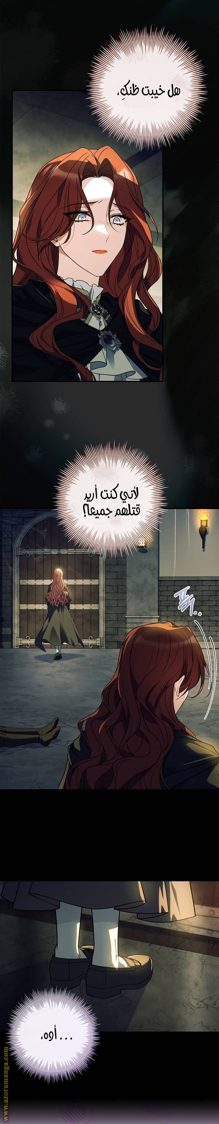 الصفحة 17