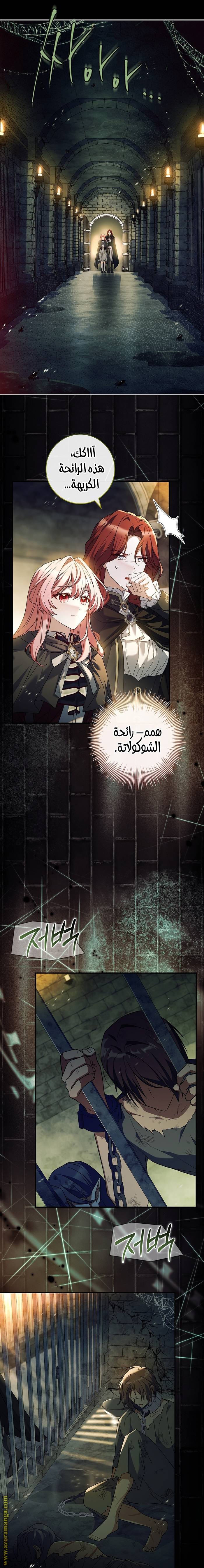 الصفحة 19