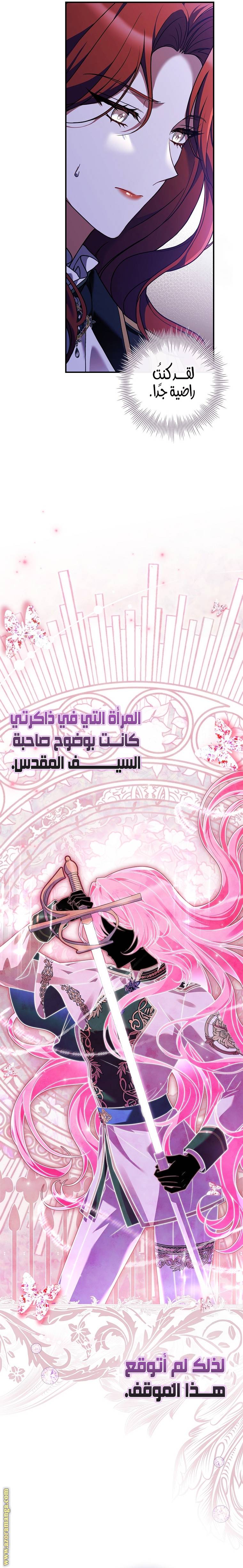 الصفحة 17