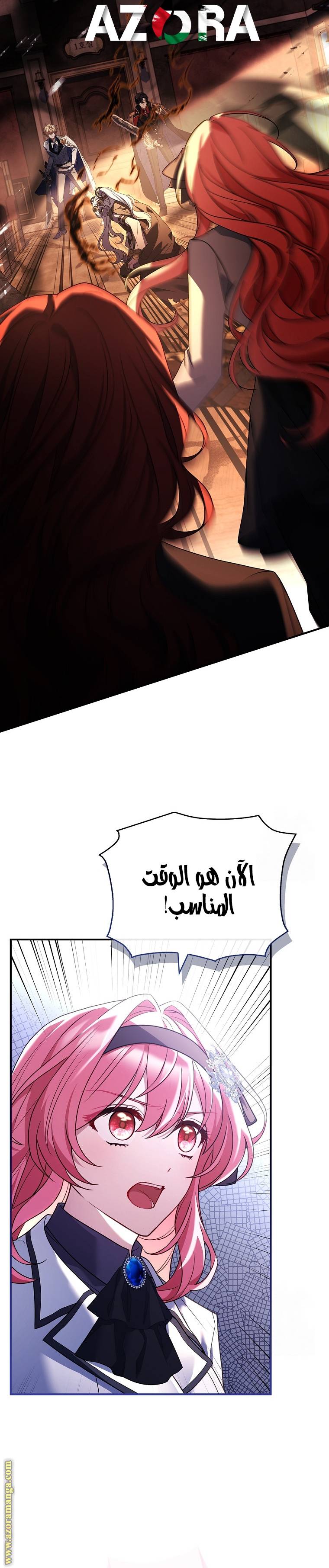 الصفحة 17