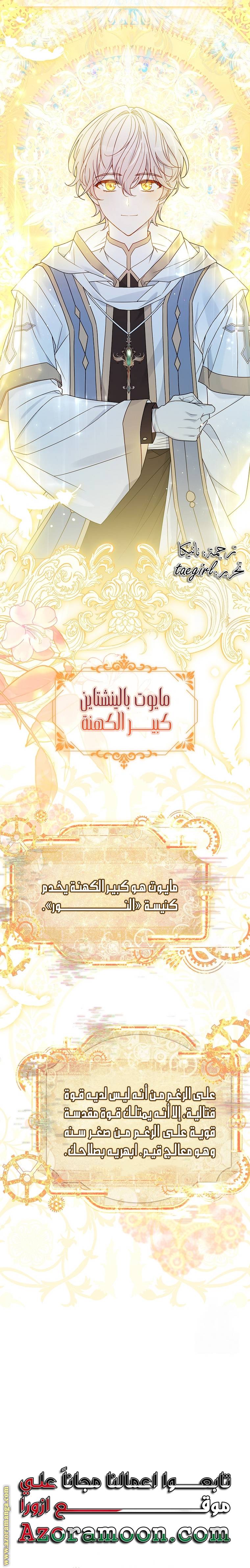 الصفحة 28