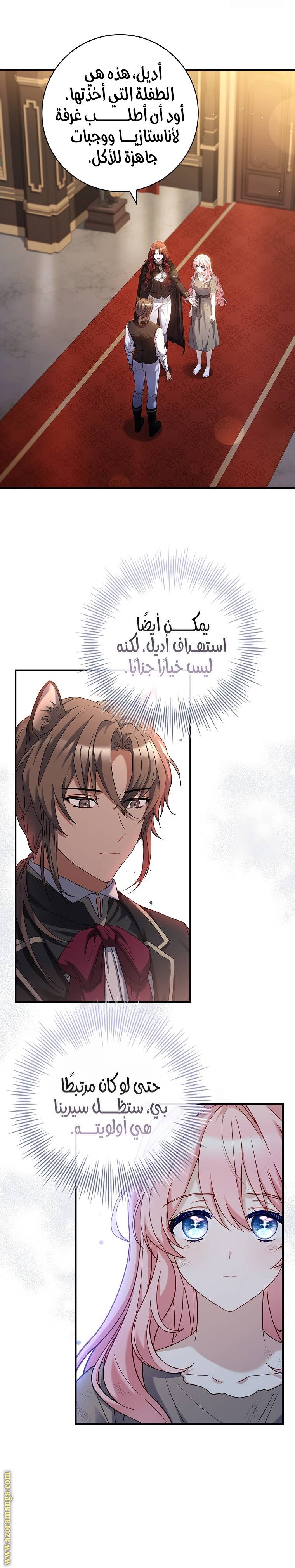 الصفحة 17