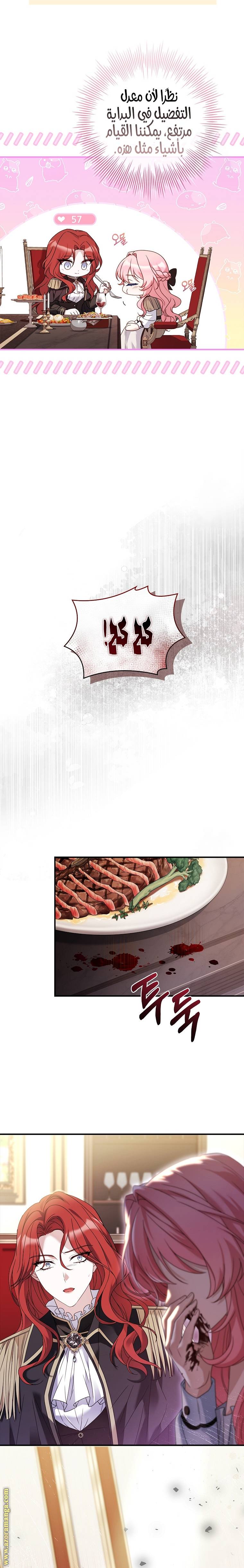 الصفحة 22