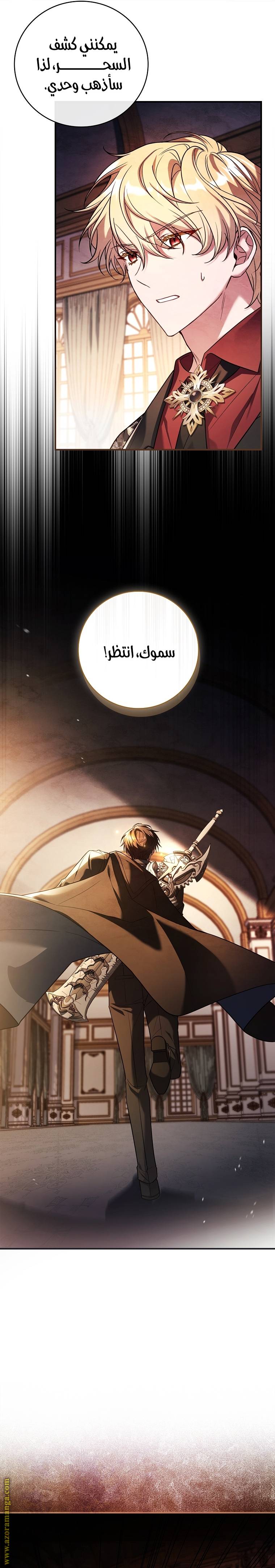 الصفحة 26