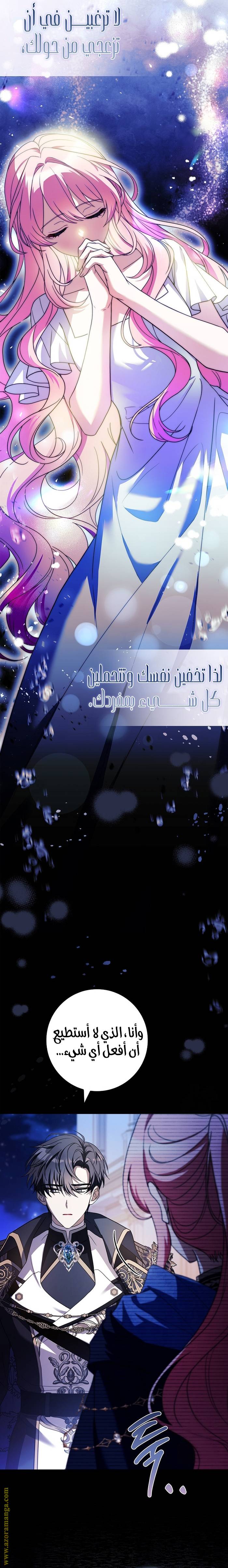 الصفحة 29