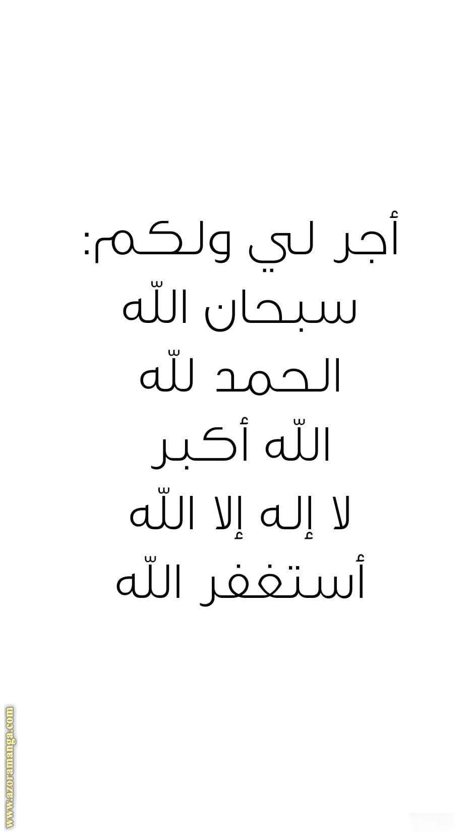 الصفحة 13