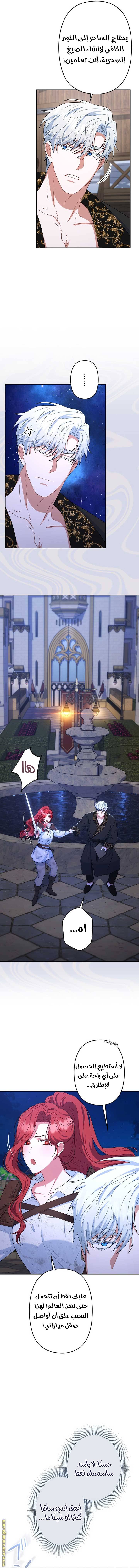 الصفحة 11