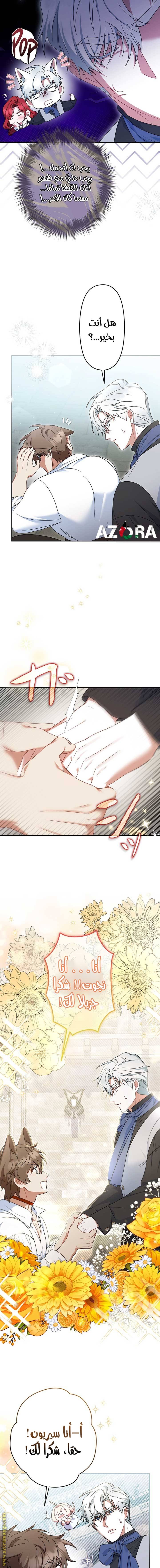 الصفحة 14