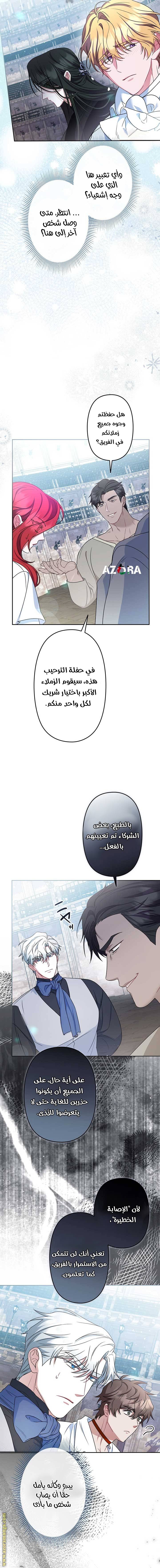 الصفحة 17