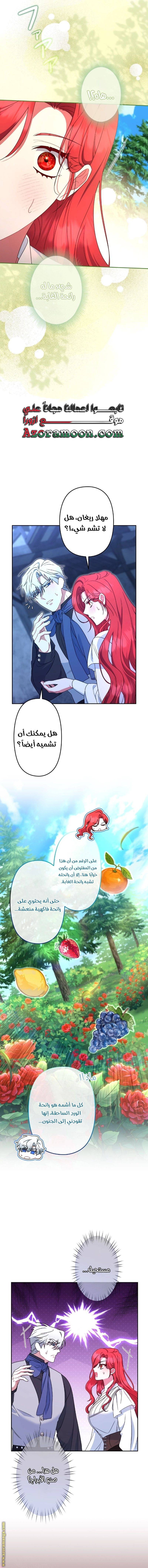 الصفحة 7