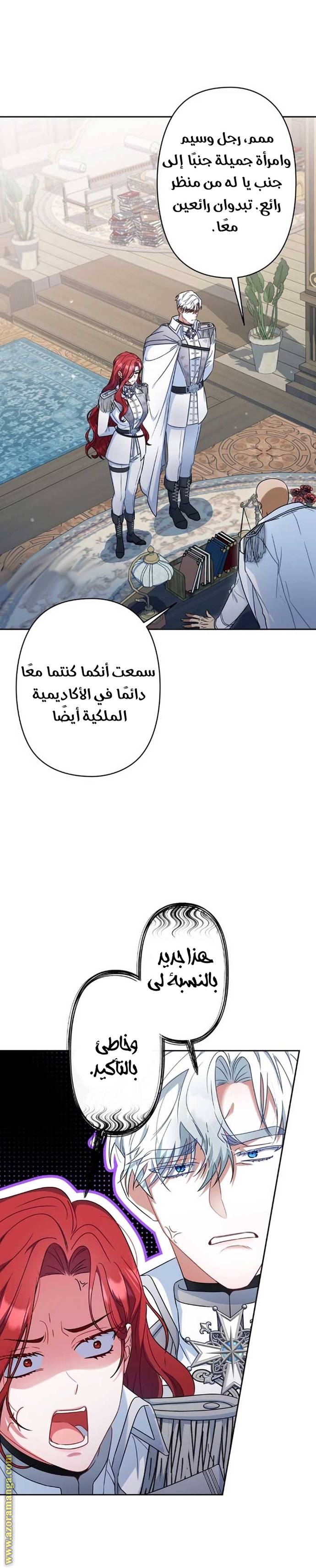 الصفحة 14