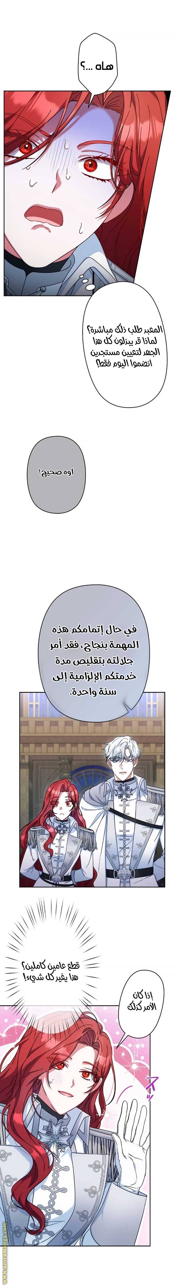 الصفحة 17