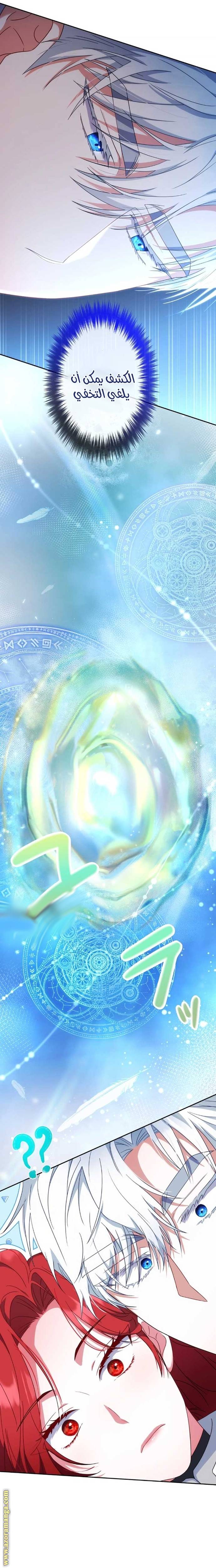 الصفحة 25