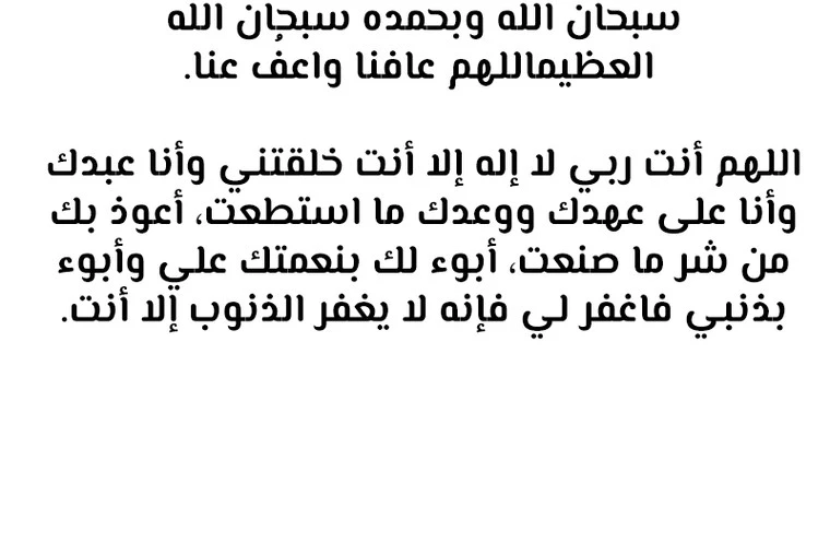 الصفحة 17