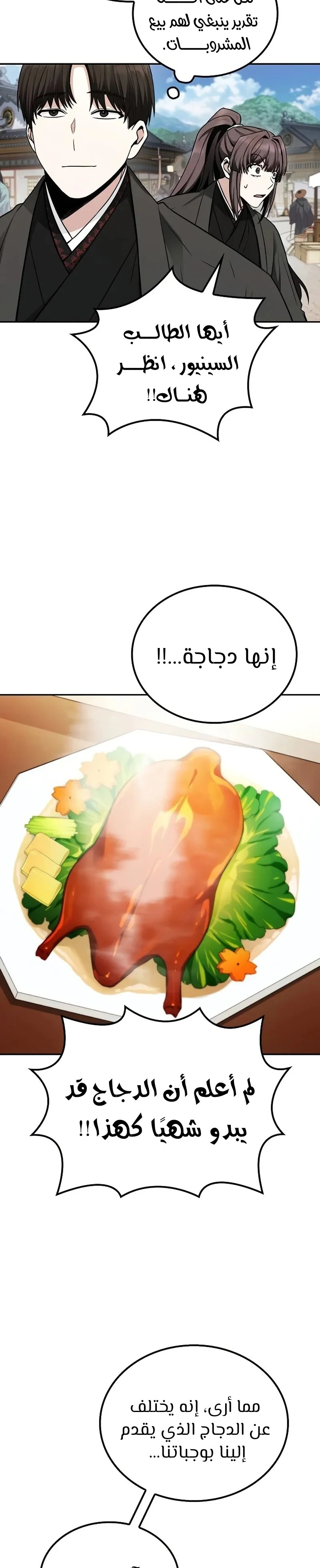 الصفحة 13