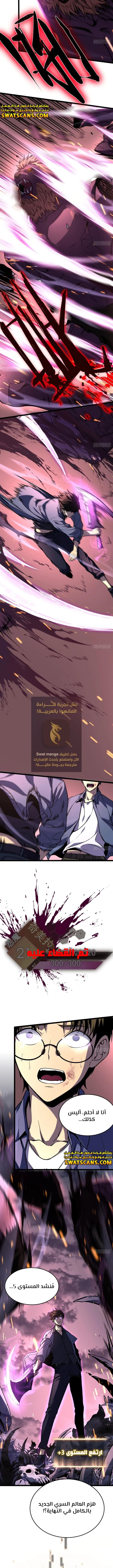 الصفحة 13