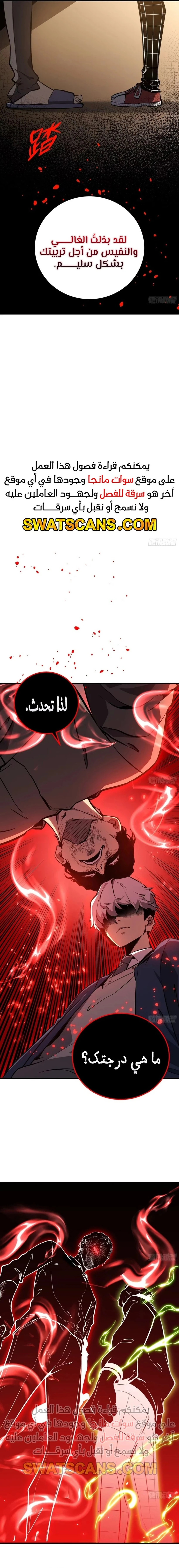 الصفحة 17