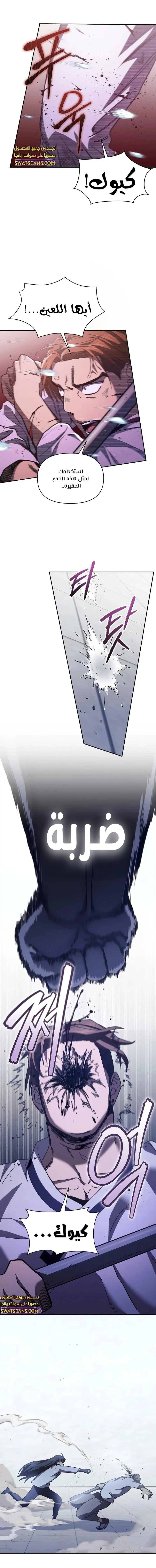 الصفحة 17