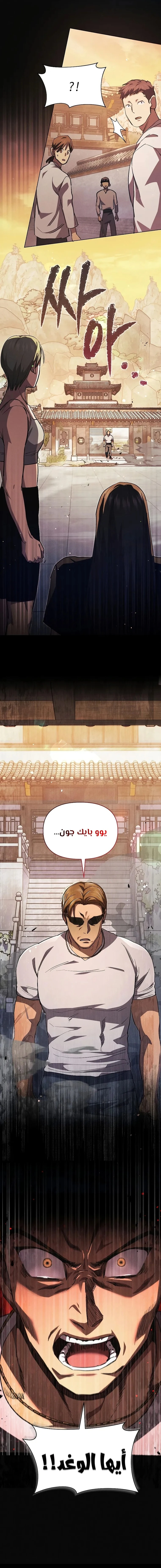 الصفحة 13