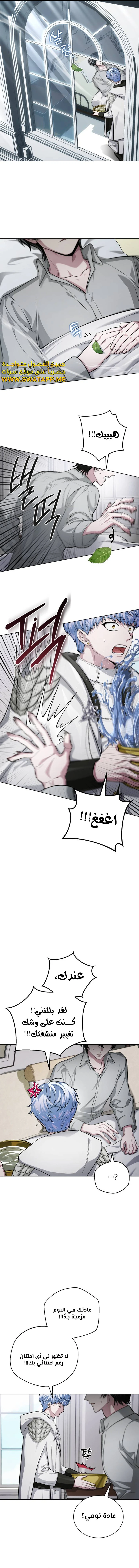 الصفحة 13