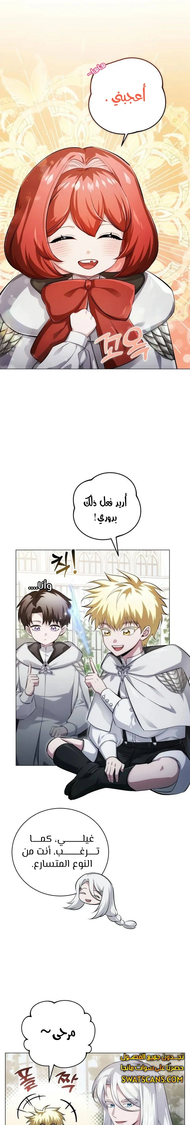 الصفحة 27