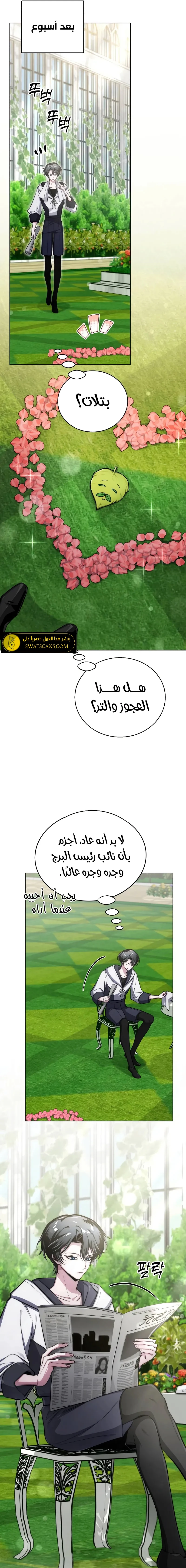 الصفحة 17