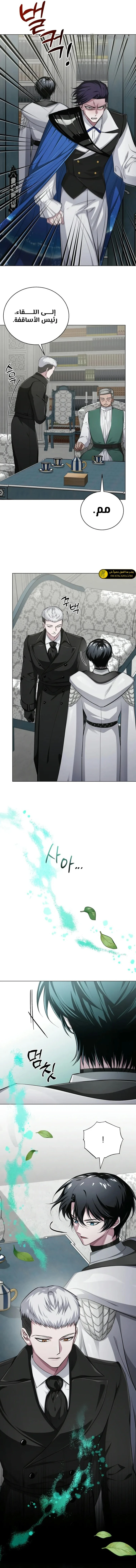 الصفحة 19